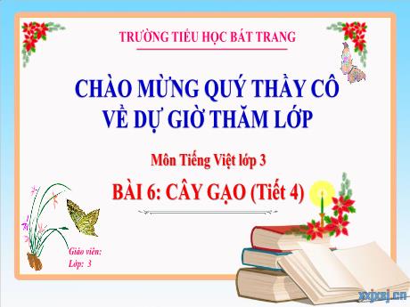 Bài giảng Tiếng Việt 3 (Kết nối tri thức) - Bài 6: Cây gạo (Tiết 4) - Trường Tiểu học Bát Trang
