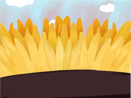 Bài giảng Toán 3 (Kết nối tri thức) - Bài 71: Chia số có năm chữ số cho số có một chữ số (Tiết 2) - Thân Thị Hằng