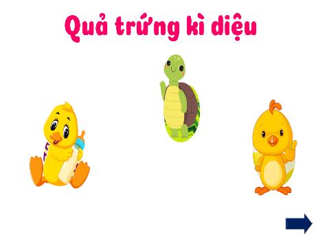 Bài giảng Toán 3 (Kết nối tri thức) - Bài 9: Bảng nhân 6, bảng chia 6 - Năm học 2024-2025 - Trường Tiểu học Trường Thọ