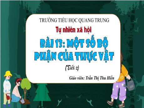 Bài giảng Tự nhiên và Xã hội 3 (Kết nối tri thức) - Bài 13: Một số bộ phận của thực vật (Tiết 2) - Năm học 2024-2025 - Trần Thị Thu Hiền