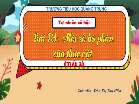 Bài giảng Tự nhiên và Xã hội 3 (Kết nối tri thức) - Bài 13: Một số bộ phận của thực vật (Tiết 3) - Năm học 2024-2025 - Trần Thị Thu Hiền