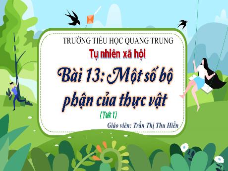 Bài giảng Tự nhiên và Xã hội 3 (Kết nối tri thức) - Bài 13: Một số bộ phận của thực vật (Tiết 1) - Năm học 2024-2025 - Trần Thị Thu Hiền