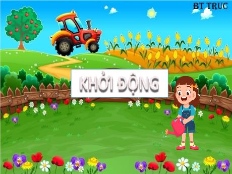 Bài giảng Tự nhiên và Xã hội 3 (Kết nối tri thức) - Bài 14: Chức năng một số bộ phận của thực vật (Tiết 1) - Năm học 2024-2025 - Trần Thị Thu Hiền