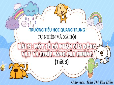 Bài giảng Tự nhiên và Xã hội 3 (Kết nối tri thức) - Bài 15: Một số bộ phận của động vật và chức năng của chúng (Tiết 3) - Năm học 2024-2025 - Trần Thị Thu Hiền