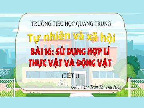 Bài giảng Tự nhiên và Xã hội 3 (Kết nối tri thức) - Bài 16: Sử dụng hợp lí thực vật và động vật (Tiết 1) - Năm học 2024-2025 - Trần Thị Thu Hiền