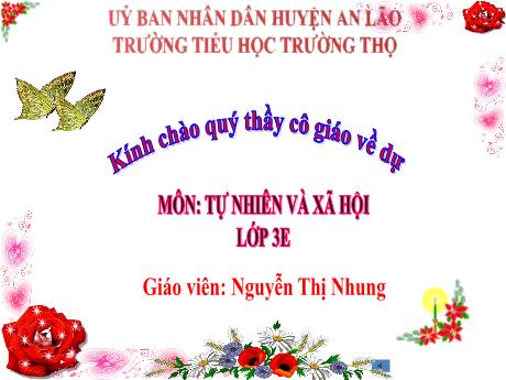 Bài giảng Tự nhiên và Xã hội 3 (Kết nối tri thức) - Bài 9: Hoạt động sản xuất nông nghiệp (Tiết 1) - Năm học 2024-2025 - Nguyễn Thị Nhung