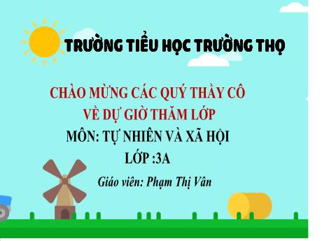 Bài giảng Tự nhiên và Xã hội 3 (Kết nối tri thức) - Stem 3: Bề mặt Trái Đất - Năm học 2024-2025 - Phạm Thị Vân